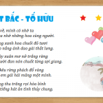 Cảm nhận của em về nỗi nhớ qua 2 đoạn thơ Việt Bắc của Tố Hữu và Sóng của Xuân Quỳnh