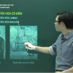Video ôn thi môn Sinh học về Học thuyết tiến hóa cổ điển và Học thuyết tiến hóa tổng hợp Hiện đại