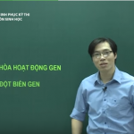 Video Ôn thi Quốc Gia môn Sinh học: Điều hòa hoạt động Gen và đột biến Gen