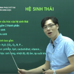 Video Ôn thi THPT Quốc Gia Môn Sinh Học – Hệ sinh Thái