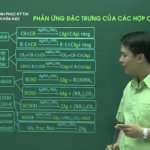 Video Hóa Học Phân dạng câu hỏi theo các phản ứng hữu cơ