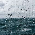 Em hãy  tả cơn mưa rào mùa hạ
