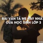 Bài văn tả mẹ của em