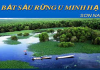 Phân tích trích đoạn "Bắt sấu rừng U Minh Hạ" của Sơn Nam