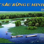 Phân tích trích đoạn “Bắt sấu rừng U Minh Hạ” của Sơn Nam