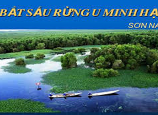 Phân tích trích đoạn "Bắt sấu rừng U Minh Hạ" của Sơn Nam