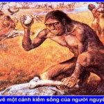 Bài 13: Việt Nam thời nguyên thủy – Ôn thi lịch sử lớp 10 – Bài tập trắc nghiệm có đáp án