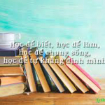 Học để biết, học để làm, học để chung sống, học để khẳng định mình – Nghị luận xã hội – Văn mẫu