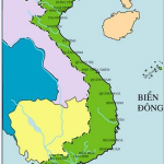 Bài 25: Tình hình chính trị, kinh tế, văn hóa dưới triều Nguyễn (nửa đầu thế kỉ XIX) – ôn thi lịch sử 10 – bài tập trắc nghiệm có đáp án