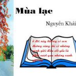 PHÂN TÍCH HÌNH TƯỢNG NHÂN VẬT ĐÀO TRONG TRUYỆN NGẮN MÙA LẠC CỦA NGUYỄN KHẢI​