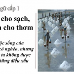 Nghị luận xã hội về câu tục ngữ: Đói cho sạch, rách cho thơm.