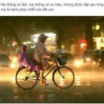 Nghị luận xã hội về tình mẫu tử