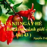 Phân tích bài thơ cảnh ngày hè của Nguyễn Trãi
