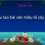 Cách làm bài văn miêu tả lớp 6