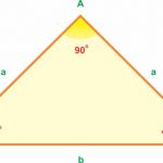 Công thức tính diện tích tam giác vuông và bài tập