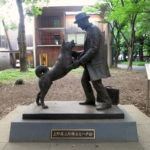 Nghị luận về lòng trung thành qua câu chuyện chú chó Hachiko